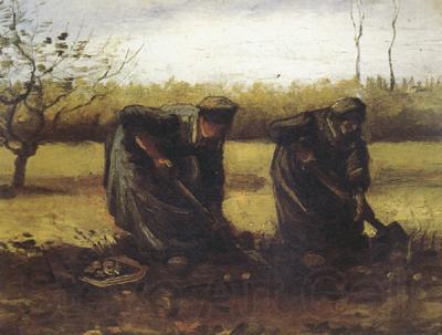 Vincent Van Gogh Two Peasant Women Digging Potatos (nn04) France oil painting art